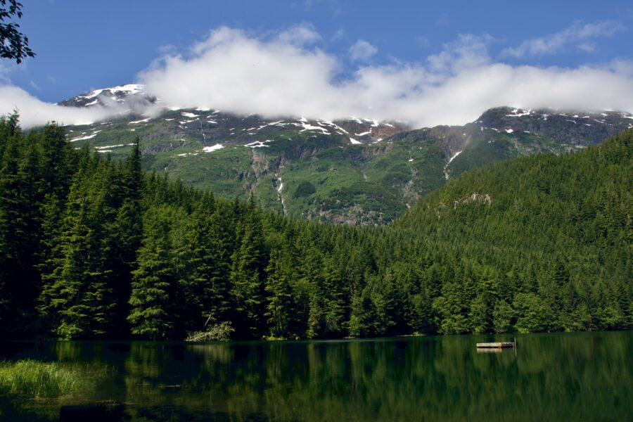 NOS Designs Ltd photo 7